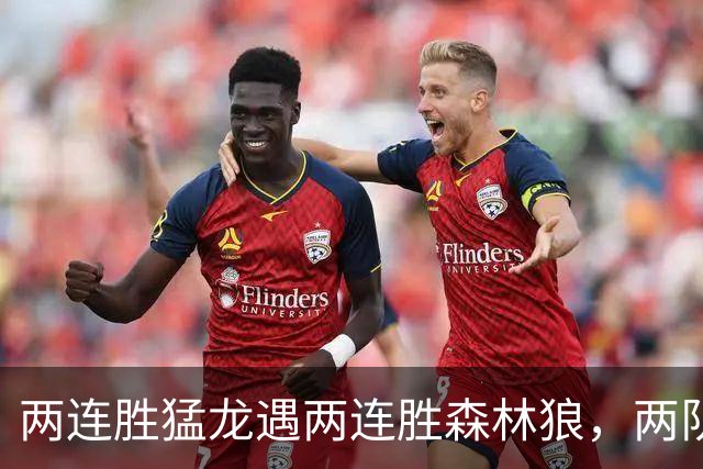 两连胜猛龙遇两连胜森林狼，两队都想保住不败金身