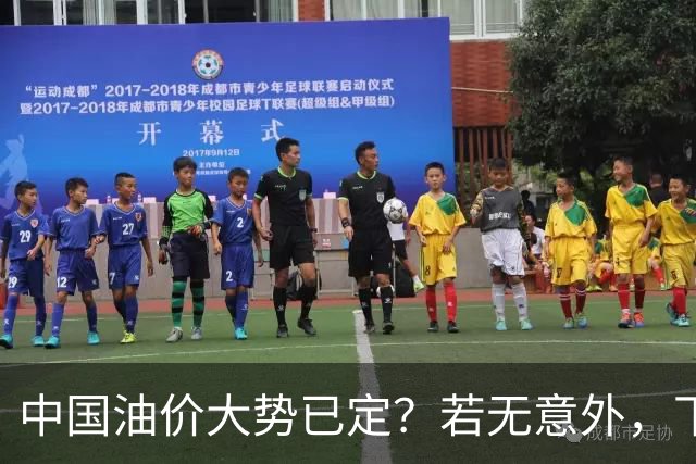 中国油价大势已定？若无意外，下个月起燃油车主或要直面3个现实