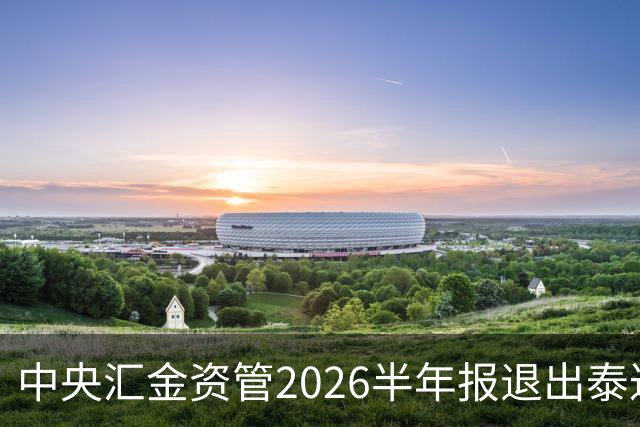 中央汇金资管2026半年报退出泰达股份前十大股东名单