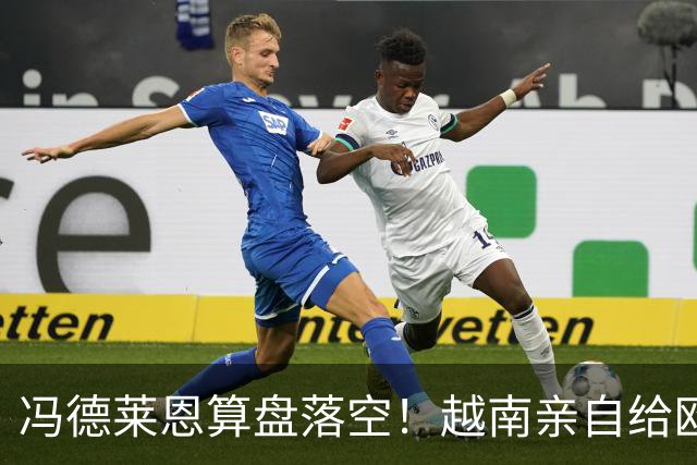 冯德莱恩算盘落空！越南亲自给欧盟上了一课，中国成了关键赢家