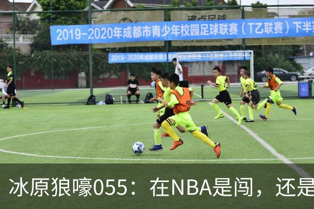 冰原狼嚎055：在NBA是闯，还是试？致敬远赴波特兰的助教诺里！