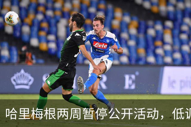 哈里梅根两周暂停公开活动，低调避风头，不抢查尔斯国王风头