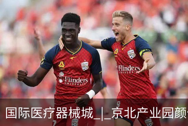 国际医疗器械城 | 京北产业园颜值天花板精美大片全新出炉