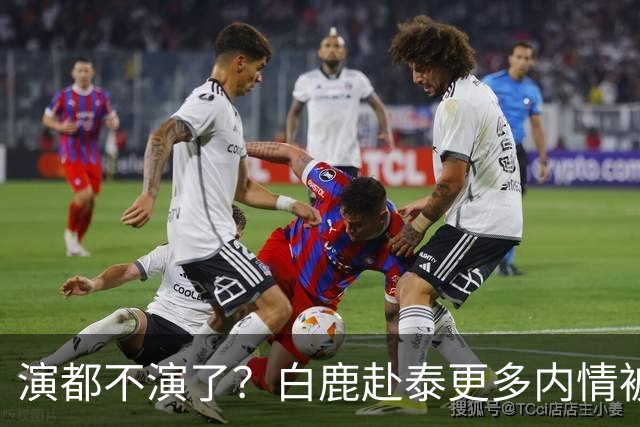 演都不演了？白鹿赴泰更多内情被扒，众星被连带，难怪不取消活动