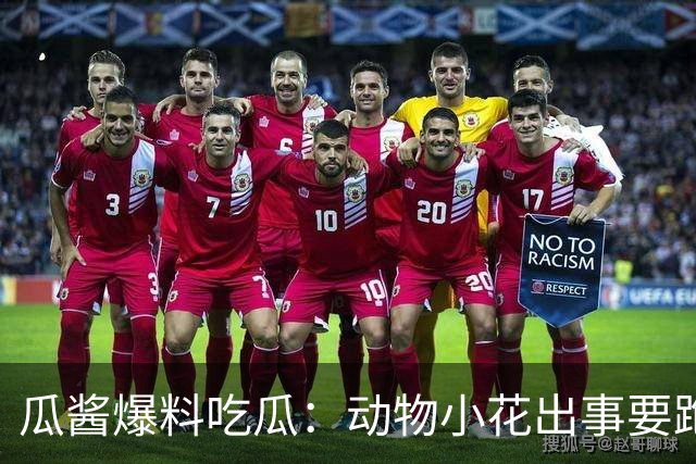 瓜酱爆料吃瓜：动物小花出事要跑路？