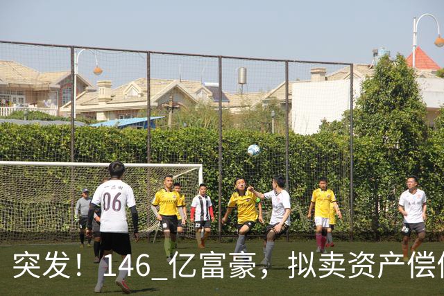 突发！146 亿富豪，拟卖资产偿债！