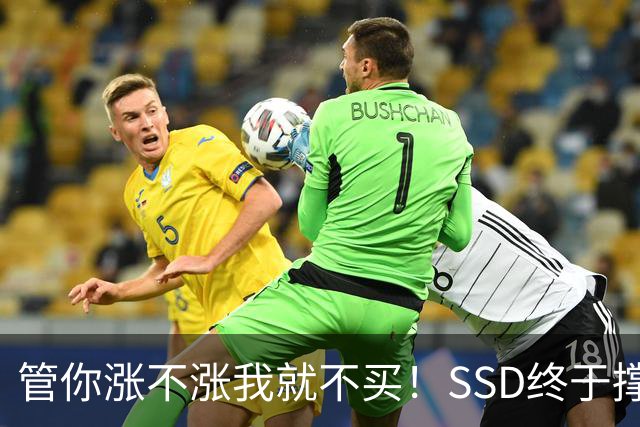 管你涨不涨我就不买！SSD终于撑不住了：厂商杀价抢单一周暴跌13%