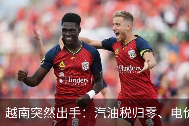 越南突然出手：汽油税归零、电价要降，11月1日起连降5个月