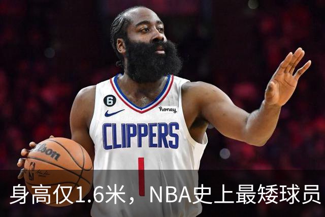身高仅1.6米，NBA史上最矮球员，博格斯的球衣号码将在黄蜂队退役