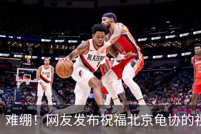 难绷！网友发布祝福北京龟协的视频，评论区涌入大批足球迷